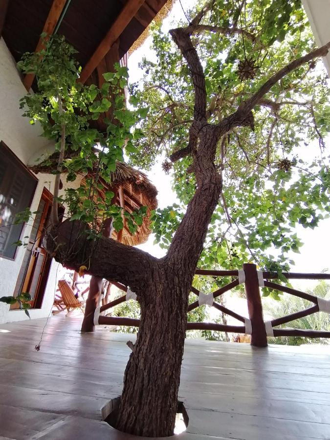 Casa Mech Hotell Isla Holbox Exteriör bild